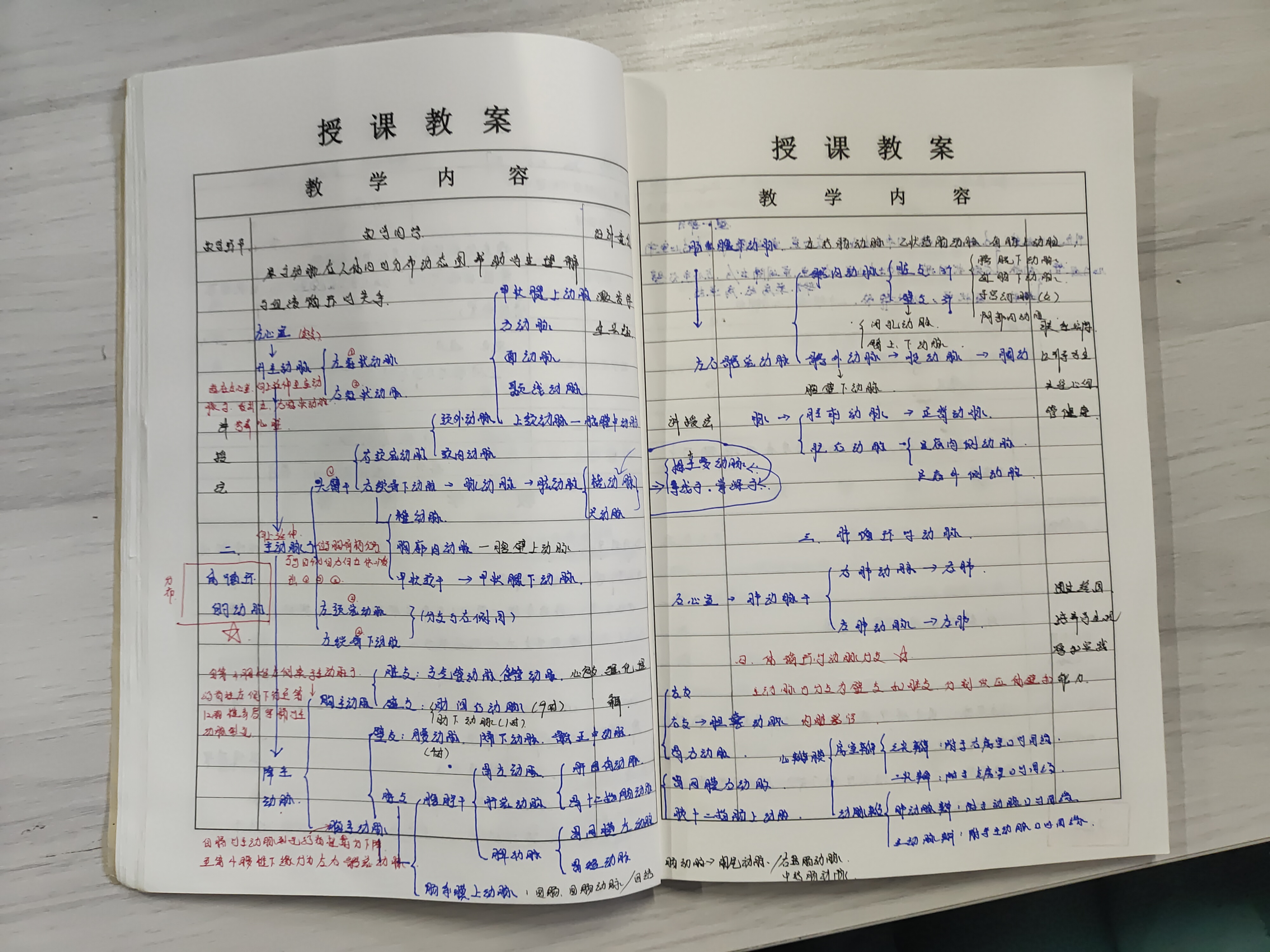 优秀教案赏析 | 探秘人体：从生理到解剖的知识之旅